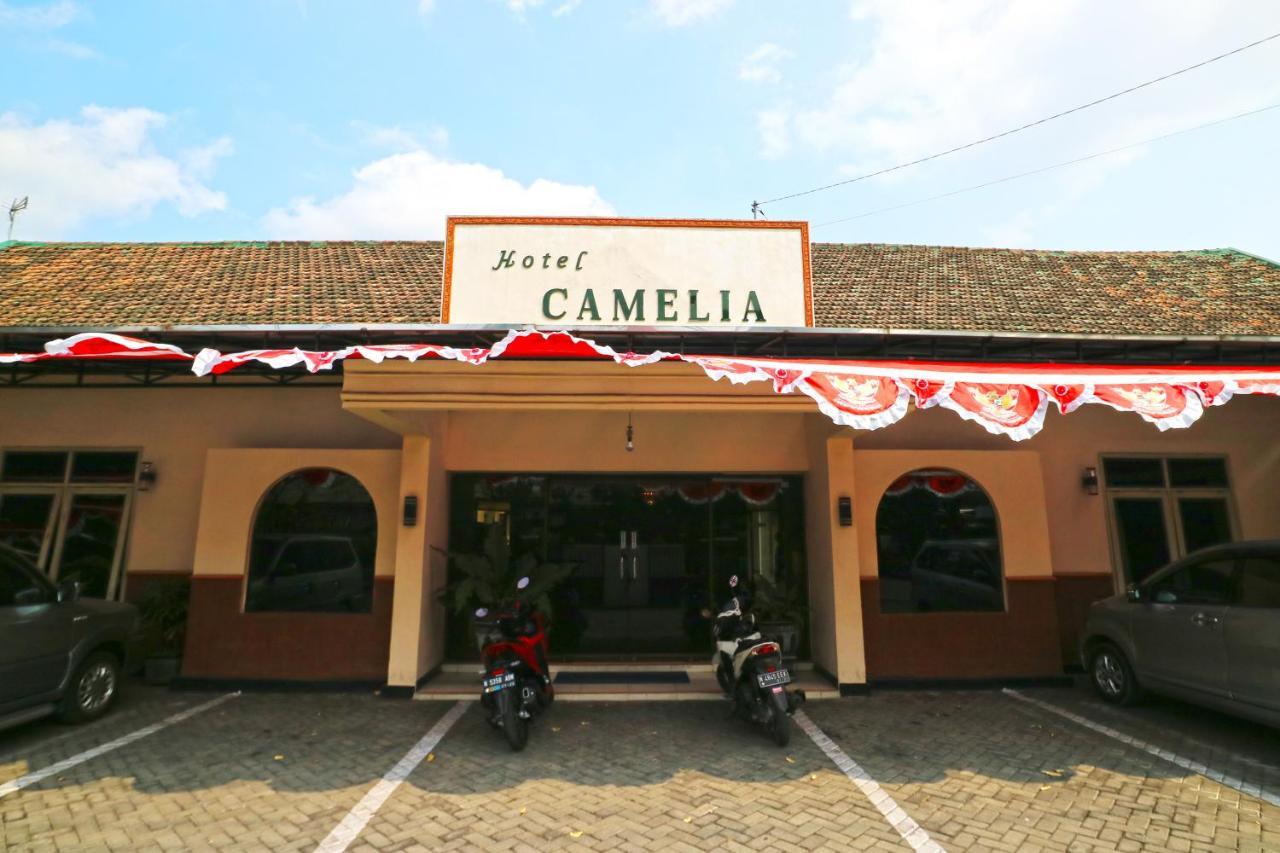 Hotel Camelia 玛琅 外观 照片